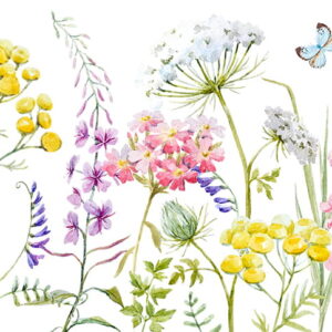 Wall stickers - Wildflowers - meadow